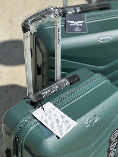 Wings Ударостійка пластикова Валіза Велика (L), на 4 колесах Wings PH01 (green) L Зелений Wings PH01 (green) L фото